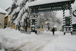 Waldwirtschaft